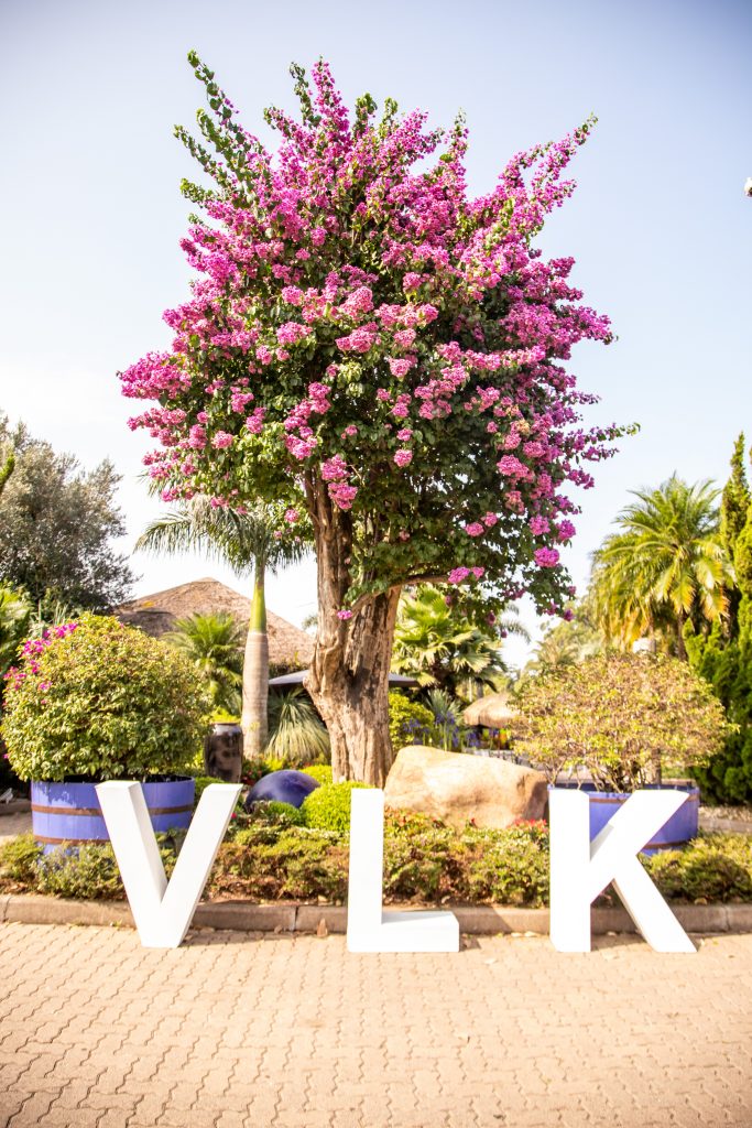 imagem das letras VLK no evento no Jardim da Moda